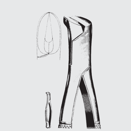 Extracto.fórceps Americ.fig. 6