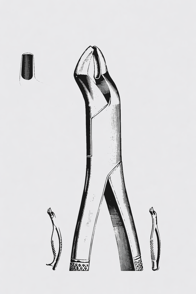 Pinzas.de.extracción Americ.fig.10H