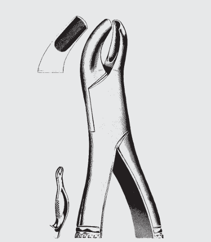 Extracción.fórceps Americ.fig. 24