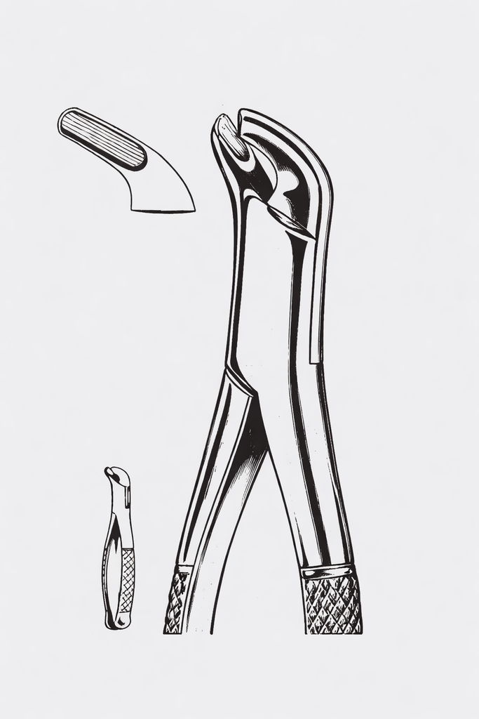 Extracción.fórceps Americ.fig. 27