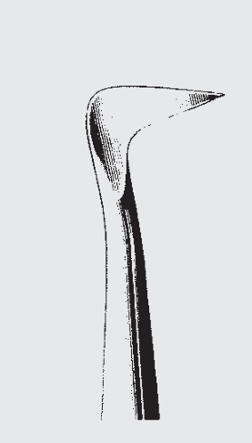 Elevador de raíces SELDIN estándar fig. 1L
