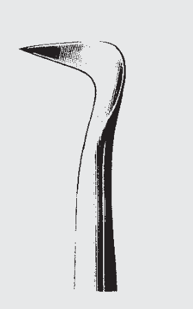 Elevador de raíz SELDIN estándar fig. 1R