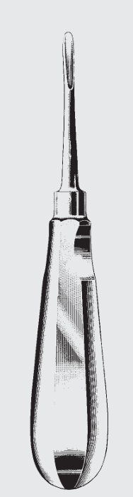 Elevador de raíz SELDIN estándar fig. 3