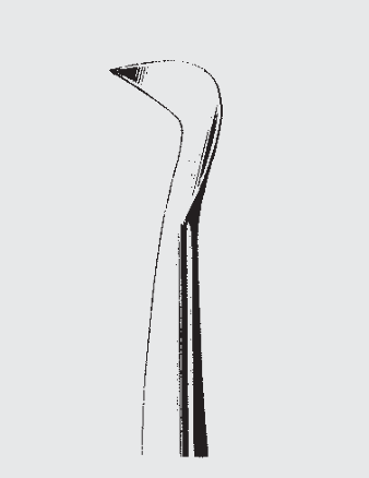 Elevador de raíz SELDIN estándar fig. 4R