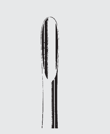 [SRW-19726-00-ss] Elevador de raíz SELDIN estándar fig. 34