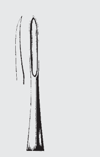 [AAP-19736-00-ss] Estándar de elevador de raíz APICAL (APEXO)