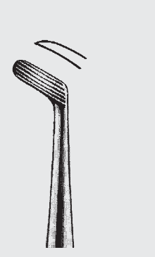 [COO-19739-03-ss] COLEMAN Elevador de pies R