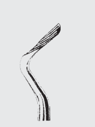Bahía de elevador de raíz KOPP. fig. 1