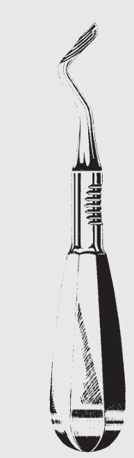 [KRY-19749-03-ss] Bahía de elevador de raíz KOPP. fig. 3