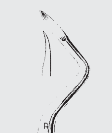 [FRL-19756-03-ss] Elevador de raíces FRIEDMAN fig. 3