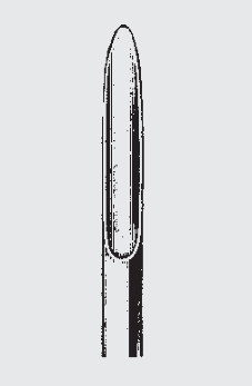 Elevador de raíz BEIN pted. 3 mm
