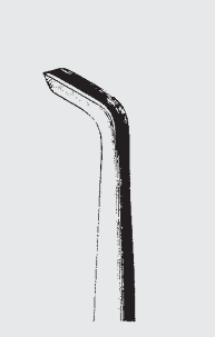 Sindesmotoma CHOMPRET fig. 2