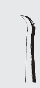Sindesmotoma CHOMPRET fig. 3