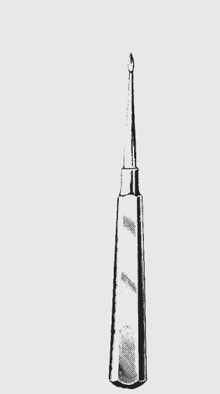 Fragmento raíz de HEIDBRINK.eject.fg.1