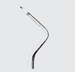 [HRX-19805-03-ss] Fragmento raíz de HEIDBRINK.eject.fg.3