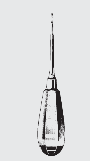 [RRS-19806-01-ss] Raíz de RATZOW fragm.enucle.fig.1