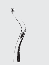 Raíz de RATZOW fragm.enucle.fig.3