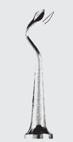 Elevador de raíces VIGNAL fig. 54
