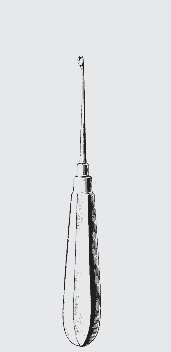 Cureta ósea estadounidense, fig. 4