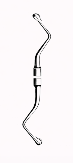 Cureta MILLER COLBURN fig. 2