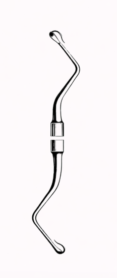 Cureta MILLER COLBURN fig. 3