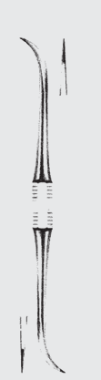 Escalador d.-e.