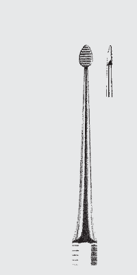 Plan raíz del archivo BUNTING.fig.10