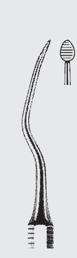 Plan raíz del archivo BUNTING.fig.11