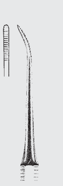 Plan raíz del archivo BUNTING.fig.14