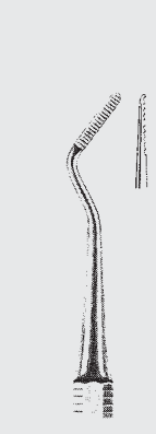 Plan raíz del archivo BUNTING.fig.15