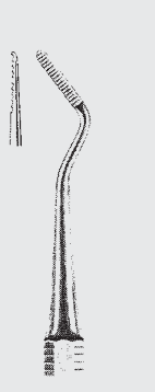 Plan raíz del archivo BUNTING.fig.16