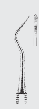 Plan raíz del archivo BUNTING.fig.17