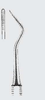 Plan raíz del archivo BUNTING.fig.18