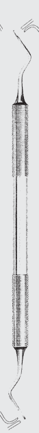 Escalador GOLDMAN FOX 2e. fig. 4