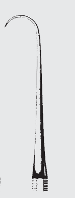 [WEH-20323-08-ss] Explorador BLANCO octag.hdl.fg. 8