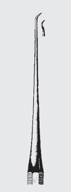 [WEH-20330-15-ss] Explorador BLANCO octag.hdl.fg.15
