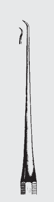 [WEH-20331-16-ss] Explorador BLANCO octag.hdl.fg.16