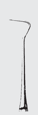 Explorador BLANCO octag.hdl.fg.42