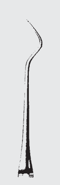 Explorador BLANCO octag.hdl.fg.45