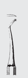 Instrumento de corte NEGRO fg.65
