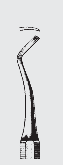 Instrumento de corte NEGRO fg.79