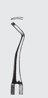 [BC]-20452-80-ss] Instrumento de corte NEGRO fg.80