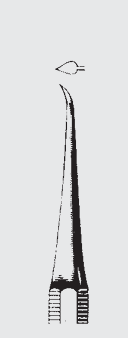 [BC]-20463-93-ss] Instrumento de corte NEGRO. cleoideo