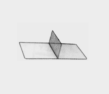 [CDN-21911-00-ss] Divisor de contenedores de acero inoxidable
